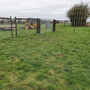 Exercise area for dogs  to play