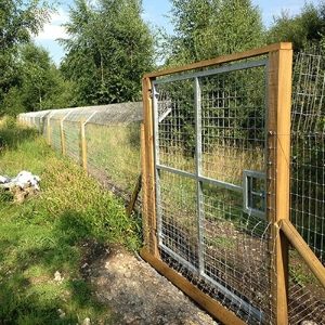 Otter Fencing 2