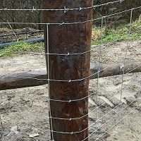 Plain Fence Staples 40 x 4mm x 20kg BUcket (132 per kg)
