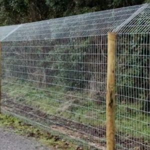 Otter Fencing 1