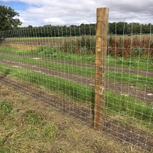 Poultry fencing pictures 1