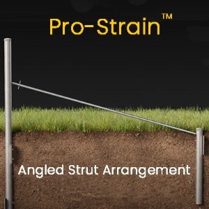 Pro-Strain Angled Strut Arrangement