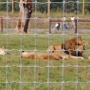 Animal Park Fencing 