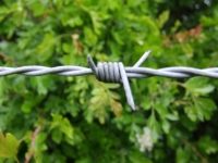 Barbed Wire Titan 2mm High Tensile 200m