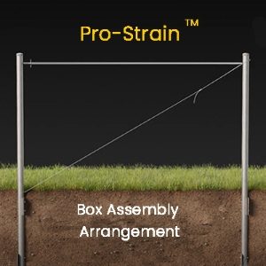 Pro-Strain Box Assembly 